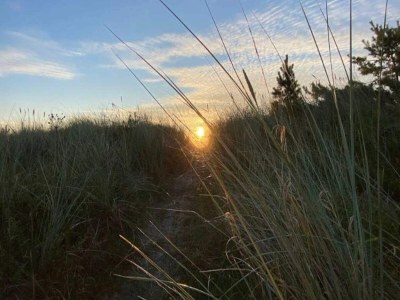 Holiday house 5 Personen Ferienhaus in Væggerløse-By Traum - Outdoor photo 6