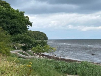Holiday house 5 Personen Ferienhaus in Væggerløse-By Traum - Outdoor photo 8