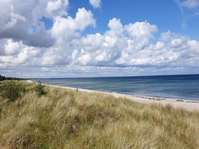 Holiday house 5 Personen Ferienhaus in Væggerløse-By Traum - Outdoor photo 17