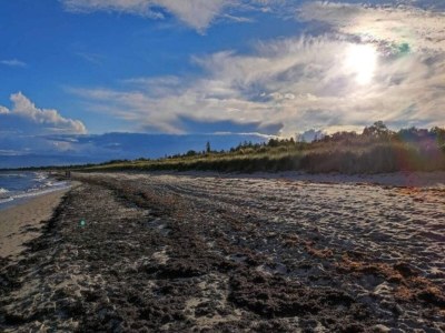 Holiday house 5 Personen Ferienhaus in Væggerløse-By Traum - Outdoor photo 24