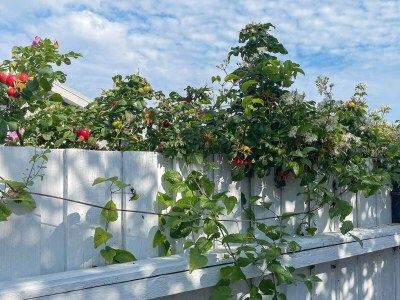 Holiday house 6 Personen Ferienhaus in Otterup-By Traum - Outdoor photo 18
