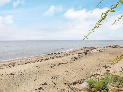 Holiday house 6 Personen Ferienhaus in Otterup-By Traum - Outdoor photo 20