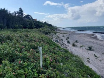 Holiday house 6 person holiday home in Gilleleje-By Traum - Outdoor photo 27