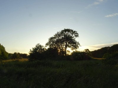 Holiday house 8 person holiday home in Ebeltoft-By Traum - Outdoor photo 14