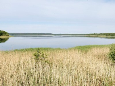 Holiday house 8 person holiday home in Ebeltoft-By Traum - Outdoor photo 18