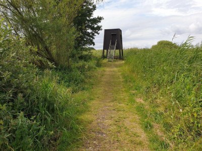 Holiday house 8 person holiday home in Ebeltoft-By Traum - Outdoor photo 38