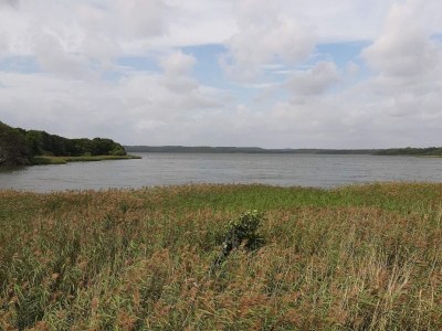 Holiday house 8 person holiday home in Ebeltoft-By Traum - Outdoor photo 40