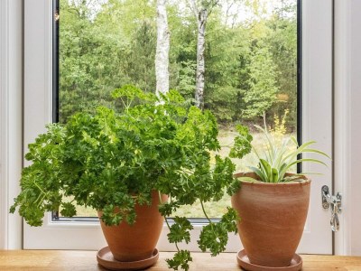 Holiday house 6 person holiday home in Læsø-By Traum - Outdoor photo 26