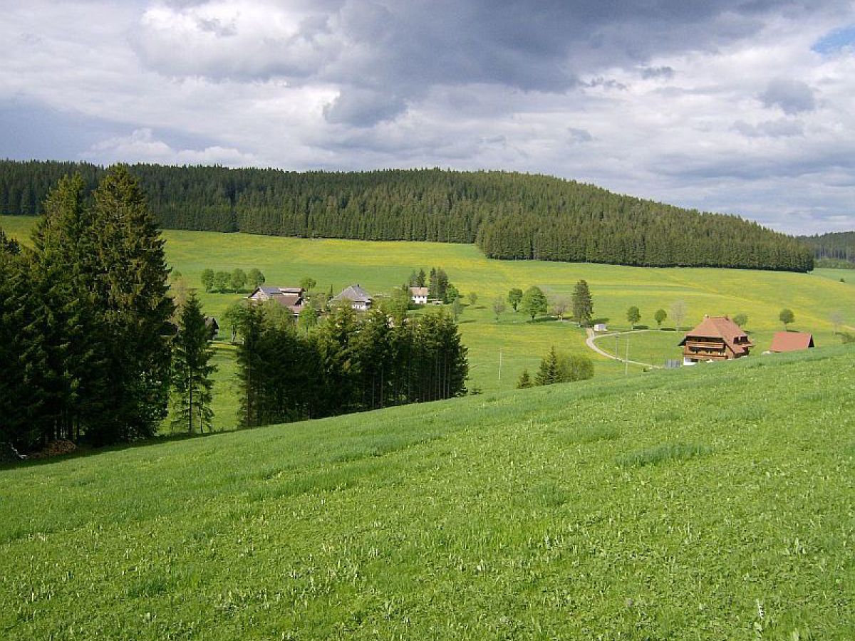 Holiday house Oehlershüsli - Outdoor photo 5