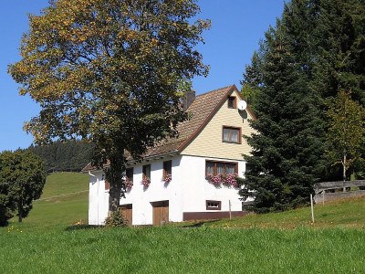 Holiday house Oehlershüsli in Eisenbach-Schollach - Holiday house