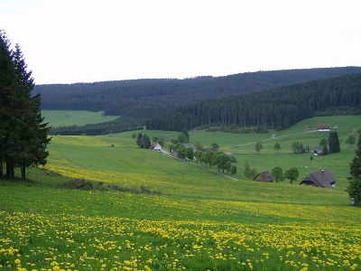 Holiday house Oehlershüsli - Outdoor photo 4