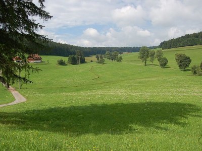 Holiday house Oehlershüsli - Environment photo 14