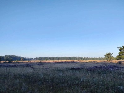 Holiday house 6 person holiday home in Hovborg-By Traum - Outdoor photo 2