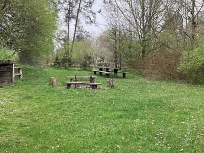 Holiday house 6 person holiday home in Hovborg-By Traum - Outdoor photo 21