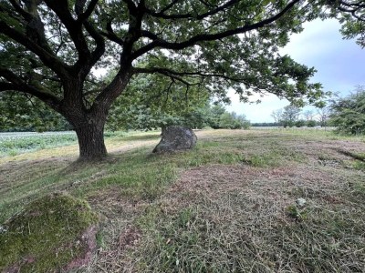 Holiday house 6 person holiday home in Hovborg-By Traum - Outdoor photo 24