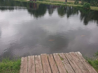 Holiday house 6 person holiday home in Hovborg-By Traum - Outdoor photo 28