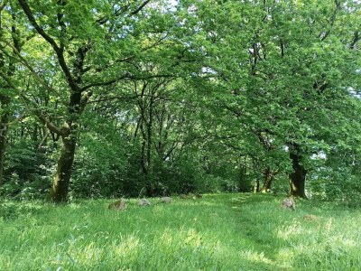 Holiday house 6 person holiday home in Hovborg-By Traum - Outdoor photo 35