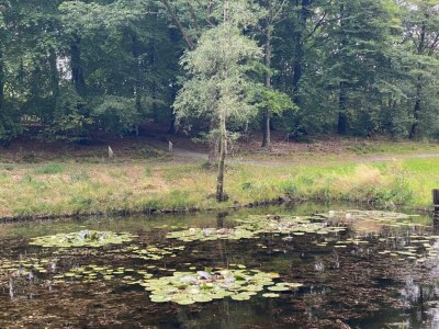 Holiday house 6 person holiday home in Hovborg-By Traum - Outdoor photo 37