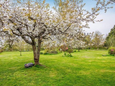 Holiday house Gemutliches Strandhaus -- By Traum Ferienwohnungen - Outdoor photo 18