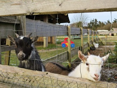 Holiday house 8 Personen Ferienhaus in Struer-By Traum - Outdoor photo 29