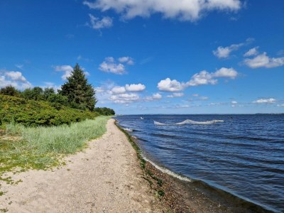 Holiday house 8 Personen Ferienhaus in Højslev-By Traum - Outdoor photo 35