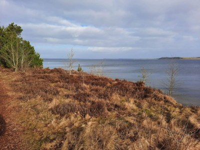 Holiday house 8 Personen Ferienhaus in Højslev-By Traum - Outdoor photo 38