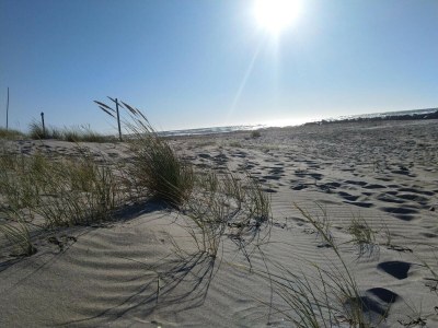 Holiday house 6 person holiday home in Melby-By Traum - Outdoor photo 32