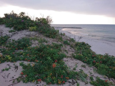 Holiday house 6 person holiday home in Melby-By Traum - Outdoor photo 33