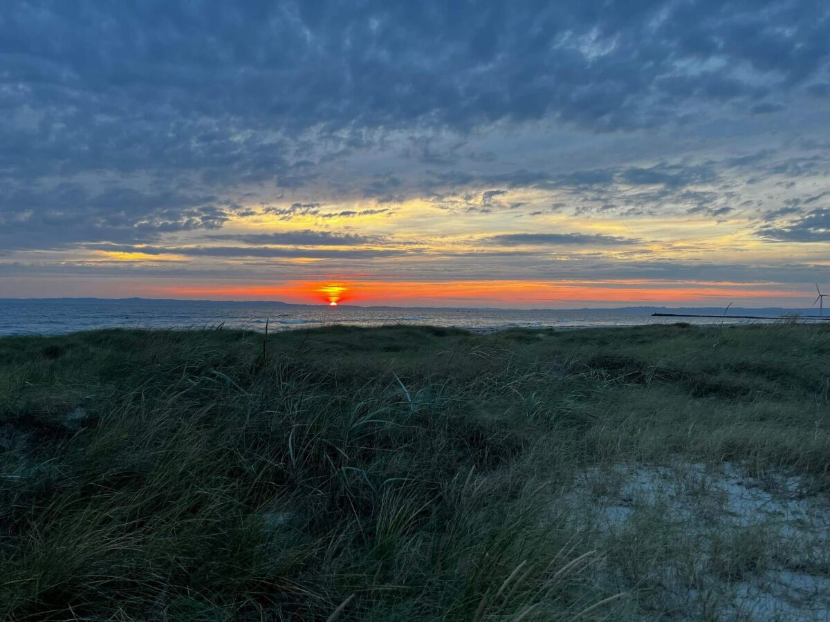 Holiday house 4 Personen Ferienhaus in Ebeltoft-By Traum - Outdoor photo 5
