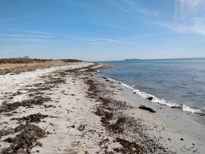 Holiday house 4 Personen Ferienhaus in Ebeltoft-By Traum - Outdoor photo 12