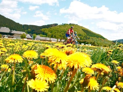 Holiday apartment No title - Environment photo 38