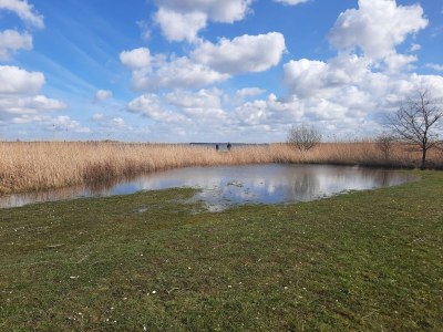 Holiday house Holiday Home Canal View - Environment photo 28
