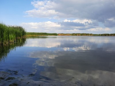 Holiday house Holiday Home Canal View - Environment photo 29