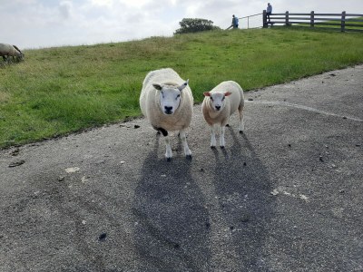 Holiday house Holiday Home Canal View - Environment photo 35