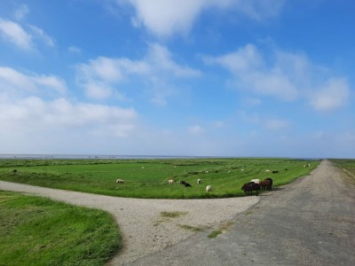 Holiday house Holiday Home Canal View - Environment photo 36