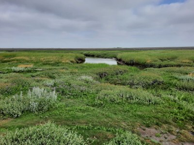 Holiday house Holiday Home Canal View - Environment photo 37