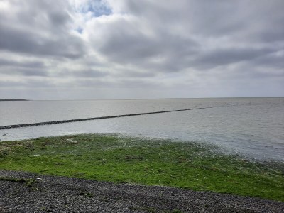 Holiday house Holiday Home Canal View - Environment photo 38