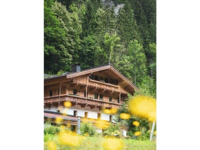 Apartment Appartement Hanni - Outdoor photo 23