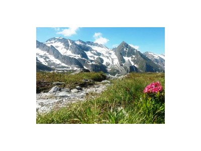 Apartment Apartment III /1 Schlafraum/Dusche,WC - Outdoor photo 4