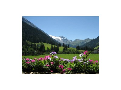 Apartment Apartment III /1 Schlafraum/Dusche,WC - Outdoor photo 5