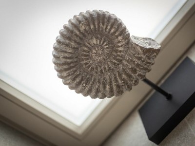 Holiday apartment Ferienwohnung Sandpiper - Outdoor photo 10