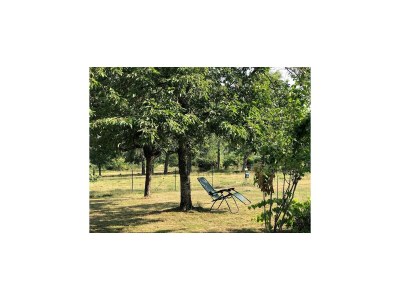 Holiday house Cottage in France near Hiking Trails - Outdoor photo 3