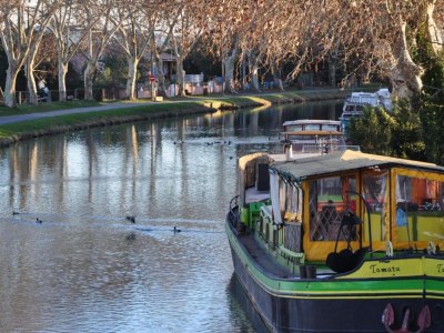Holiday house Cottage in France near Hiking Trails - Environment photo 26