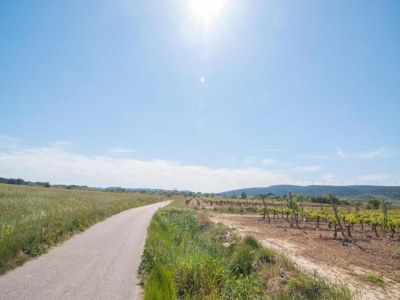 Holiday house Cottage in France near Hiking Trails - Environment photo 28