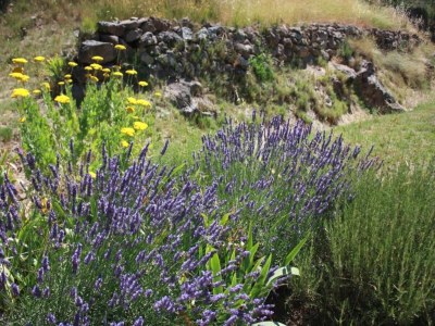 Holiday house Cottage in France near Hiking Trails - Environment photo 30