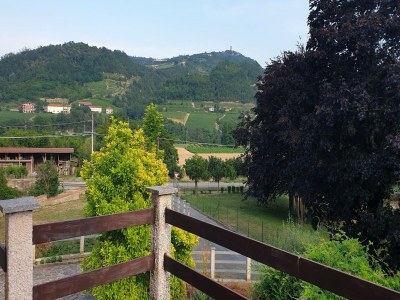 Holiday house Vesime Villa mit Garten - Outdoor photo 6