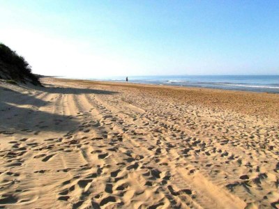 Apartment Stilvolle Wohnung am Meer - Environment photo 19