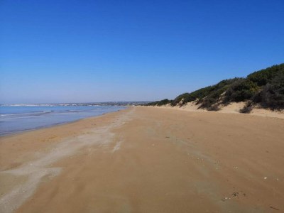 Apartment Stilvolle Wohnung am Meer - Environment photo 23