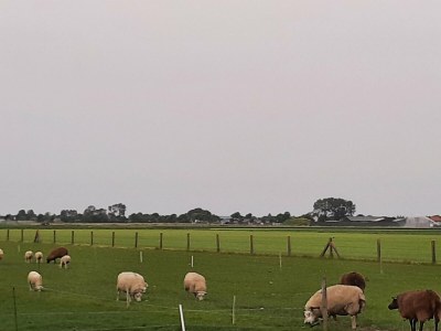 Holiday house Stylish holiday home by the sea - Environment photo 27