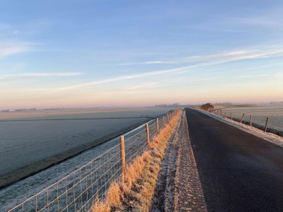 Holiday house Stylish holiday home by the sea - Environment photo 28